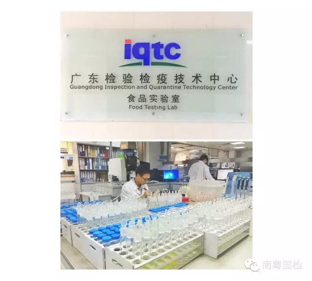 广东检验检疫技术中心十岁啦!